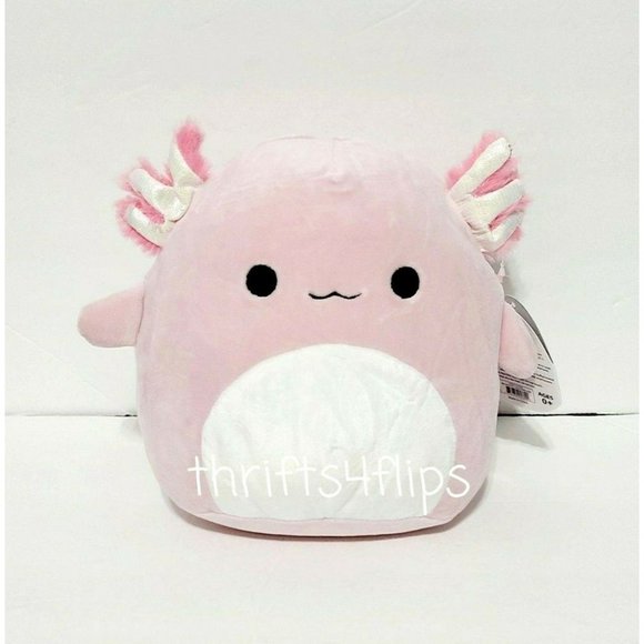 cracker barrel archie axolotl